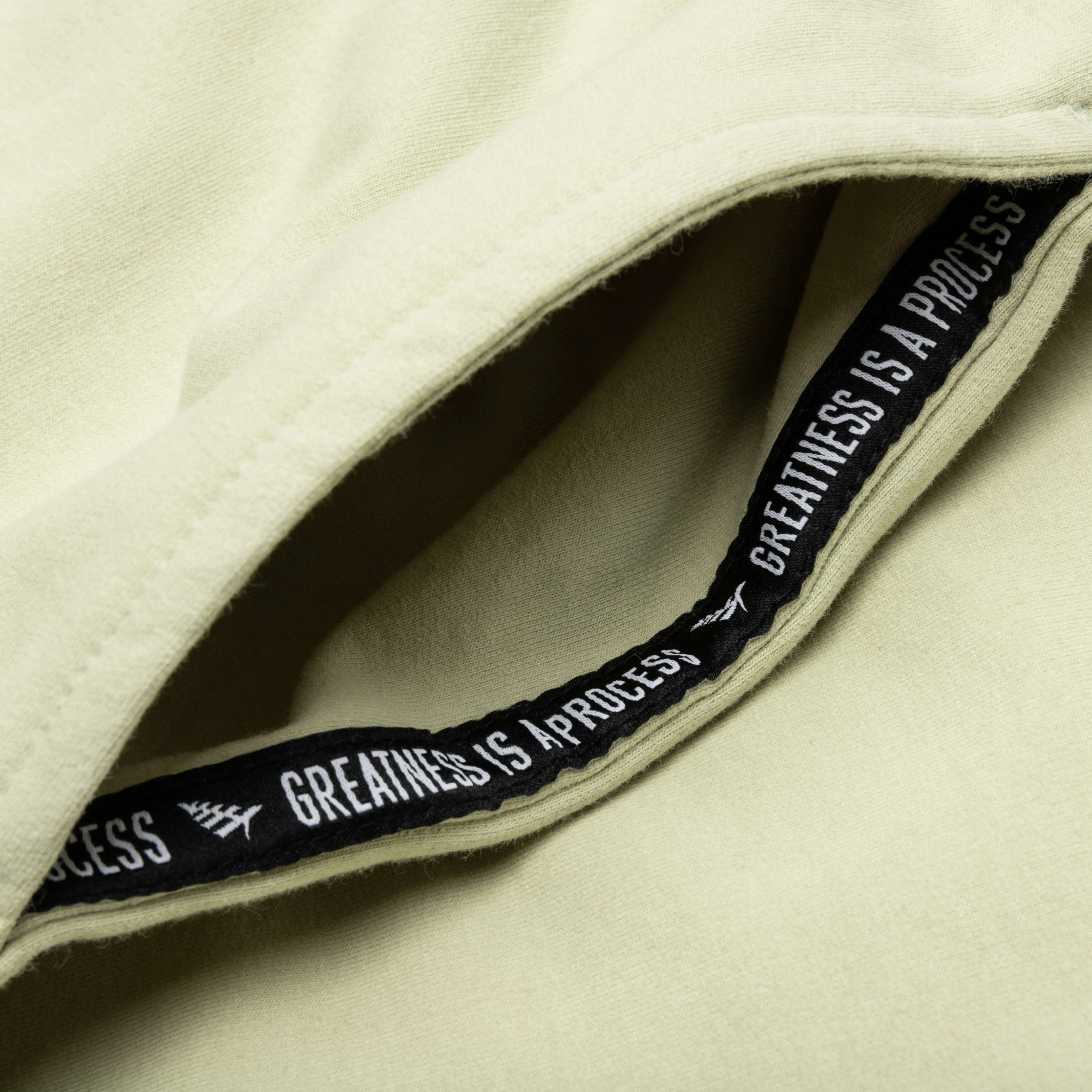 Garment Dyed Fleece Jogger - Sage