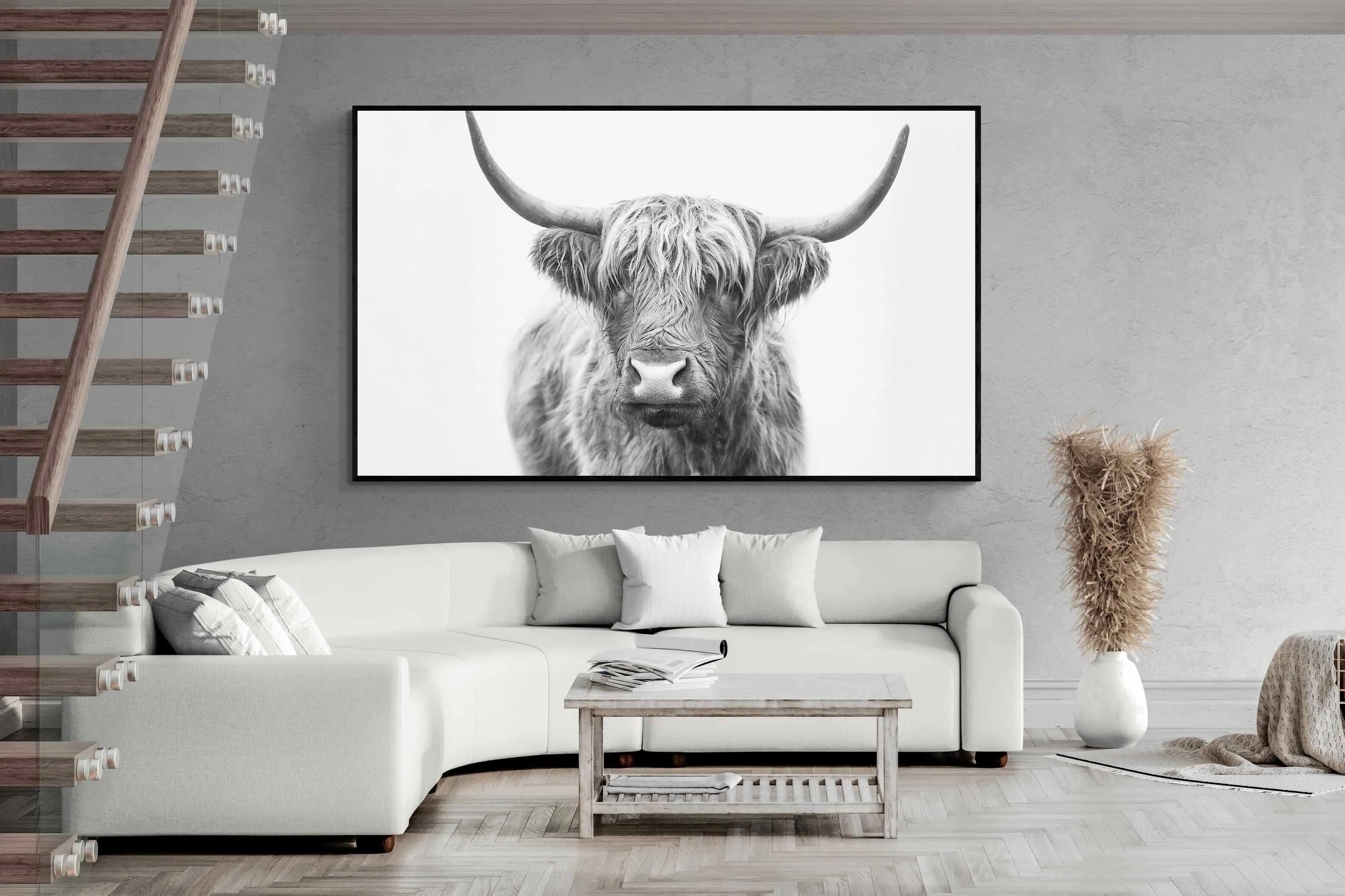 Highland Bull